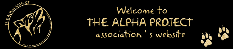 Association ALPHA PROJECT